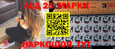 скорость Кандалакша