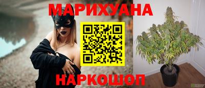 скорость Кандалакша