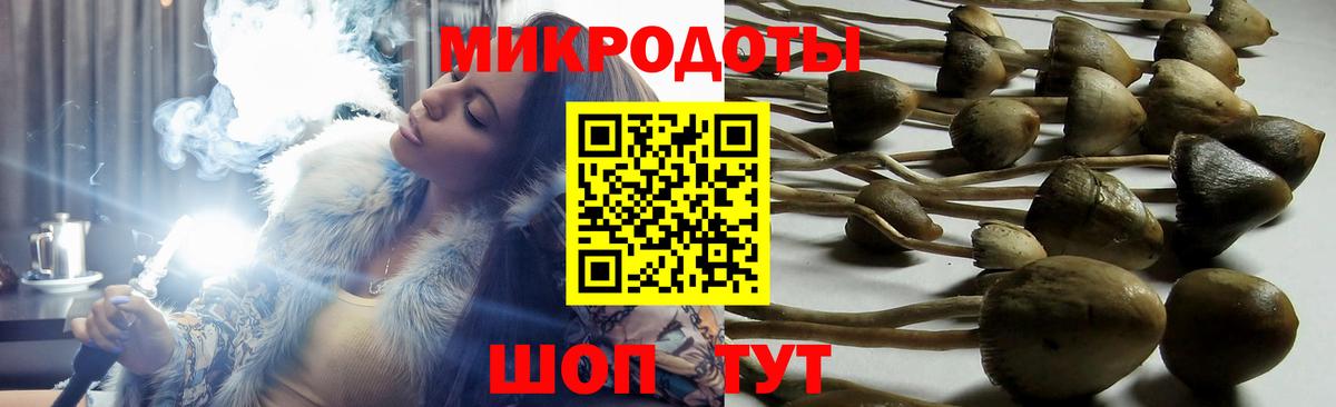 Псилоцибиновые грибы GOLDEN TEACHER Лесосибирск